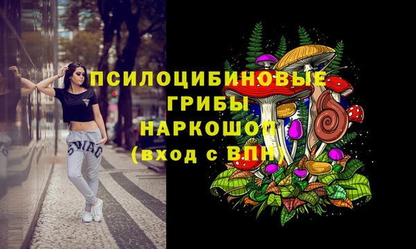 экстази Михайлов
